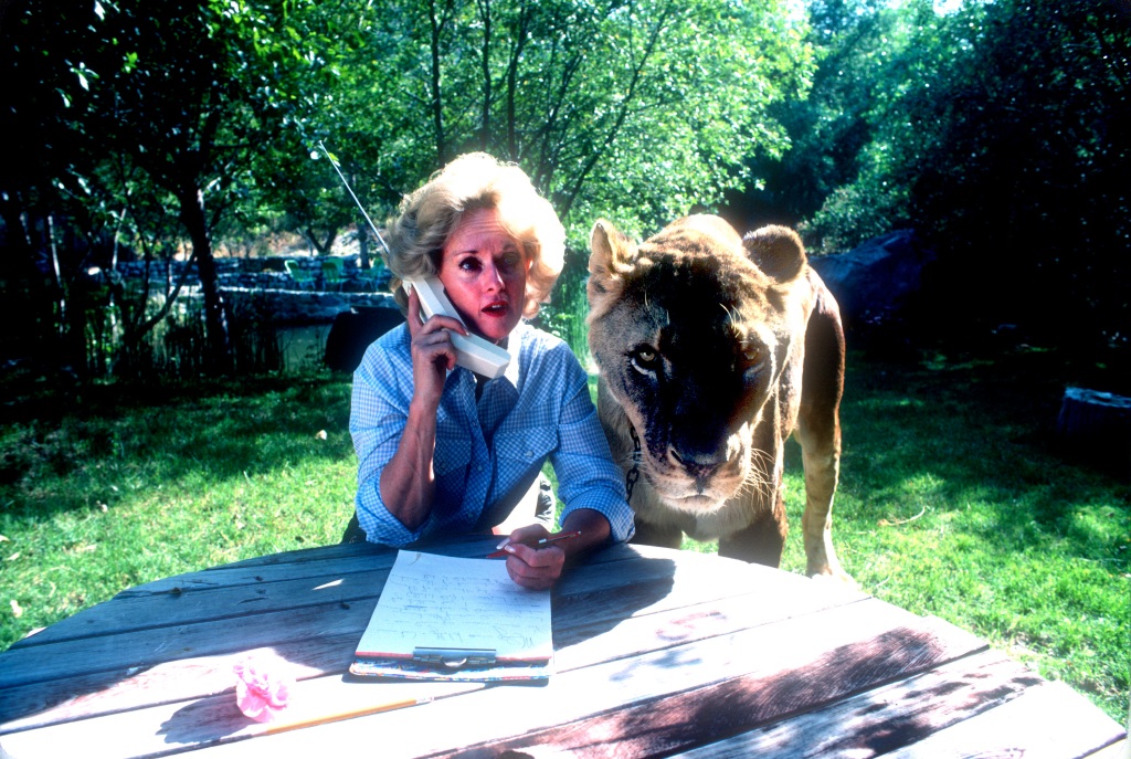 Tipi Hedren talks on a cell phone at her Animal reserve next to a lion on Nov. 16, 1983 in Saugus, Calif.