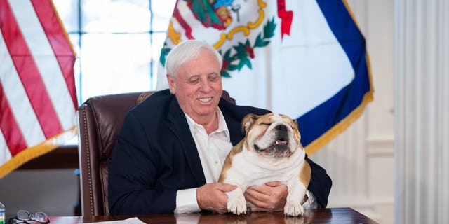 West Virginia Gov. Jim Justice poses at his desk with his pet bulldog, Babydog. Justice said he was "very seriously considering" a run for Senate in 2024.