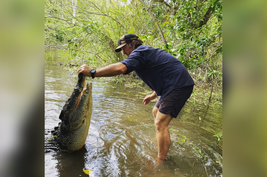 Matt Wright feeding gator.