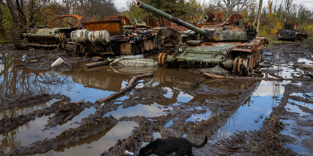 Russian tanks damaged in recent fighting are seen near the recently retaken village of Kamianka, Kharkiv region, Ukraine, Sunday, Oct. 30, 2022.