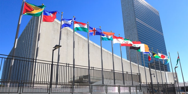 The United Nations's Educational, Scientific and Cultural Organization (UNESCO) hosted the meeting in Mexico City on Monday. 