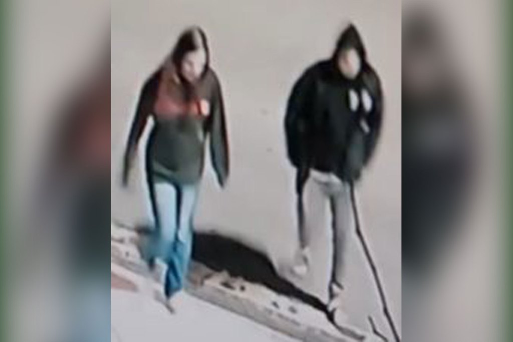 The suspects who dropped the puppy over the railing