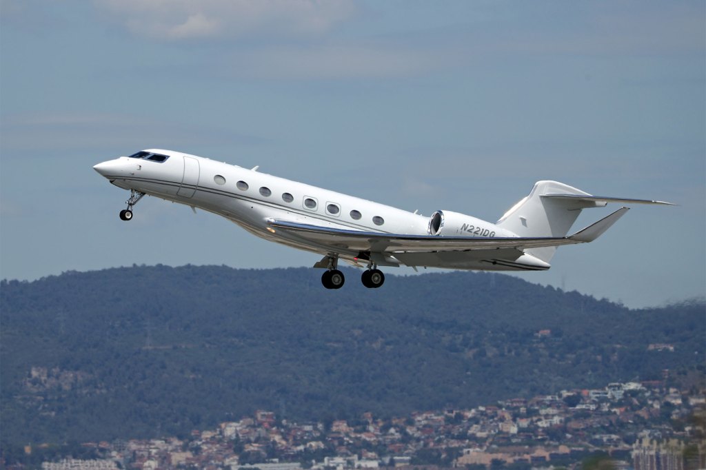 The cubs are being flown to the US on a luxury Gulfsteam G650 jet.