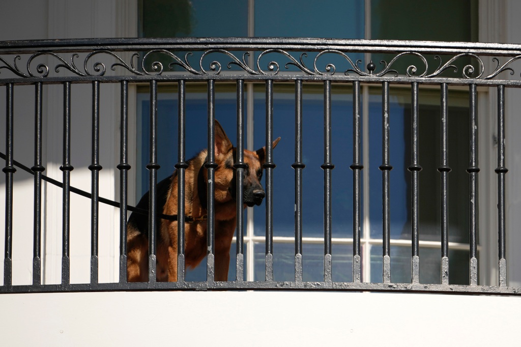 Commander looks out from the balcony.