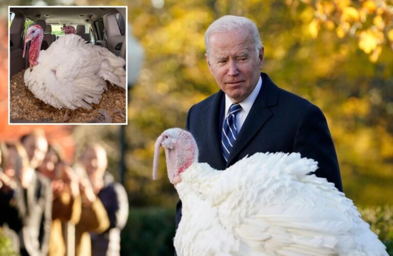 Joe Biden will pardon this year’s turkey under clear skies