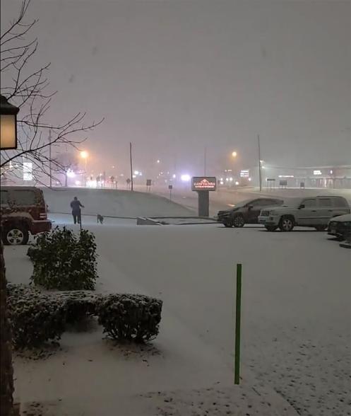 A picture of a street in Buffalo covered in snow.