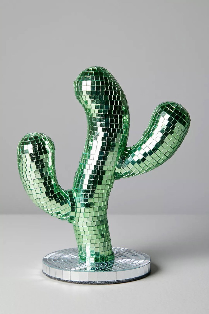 Cactus disco 