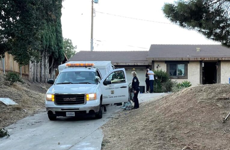 16-year-old girl mauled by six dogs in Southern California