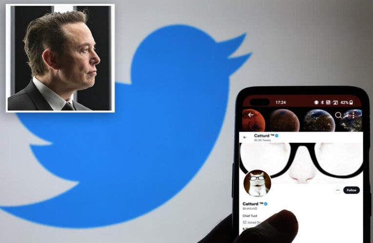 Who Elon Musk likes to talk to on Twitter — including Catturd