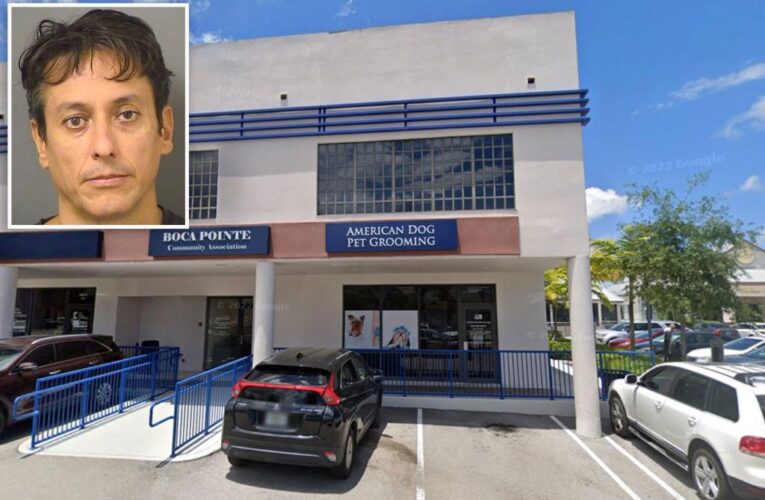 FL dog groomer Plinio de Camargo Jr. charged with animal cruelty