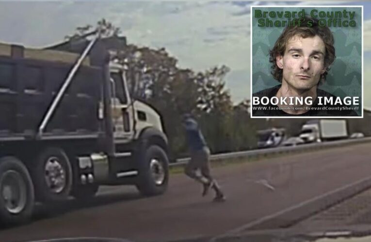 Florida man Zachary Sibert tries to evade police by ‘playing frogger’ across busy interstate