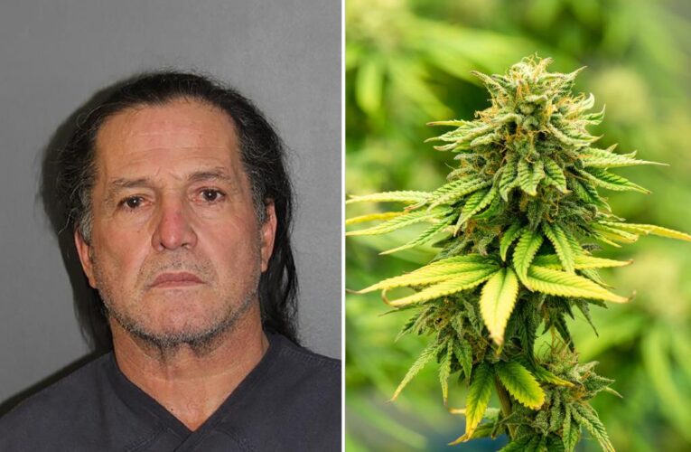 Florida man busted for growing nearly 1,000 marijuana plants in Colorado