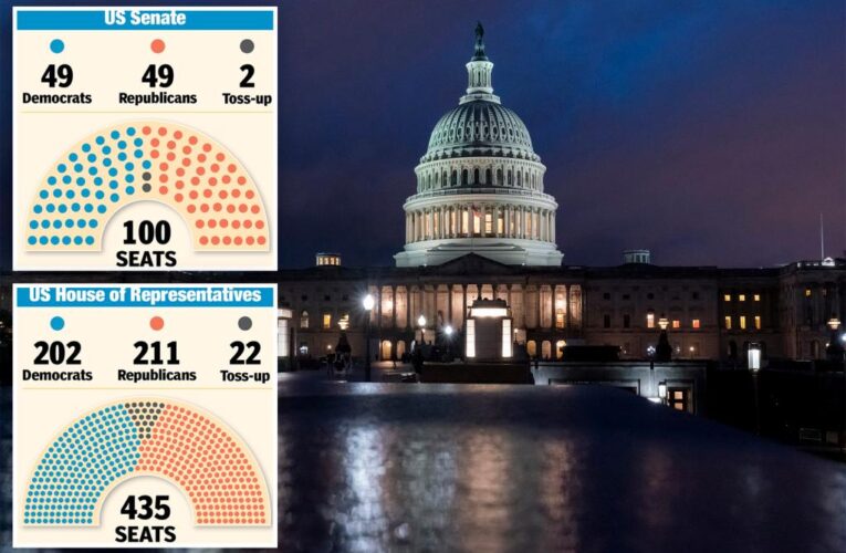 Congress split in half as deciding midterm elections remain in limbo