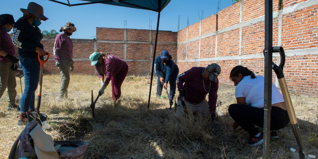 The discovery was made in late October during the El Cervantino festival in Guanajuato, a violent Mexican state impacted by drug cartels.