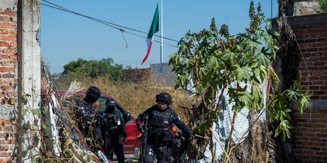 People rushed to the burial site in the town of Irapuato after witnessing the dog carrying the hand. They began looking for signs of their lost loved ones, as the nearby celebration at the festival could still be heard.