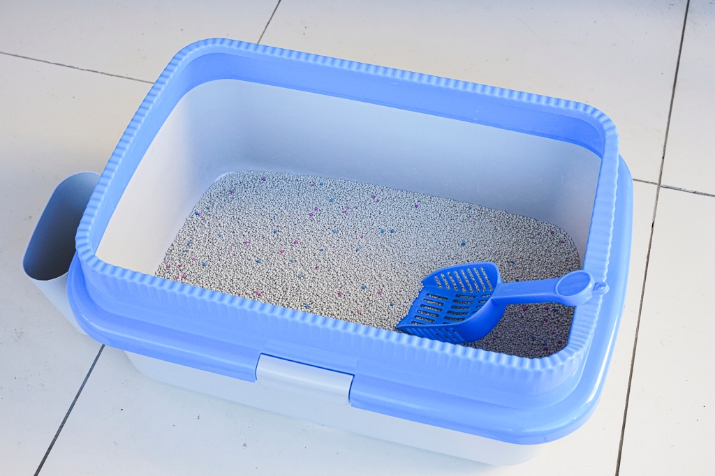 The kitty litter rumor has since been debunked by school officials.