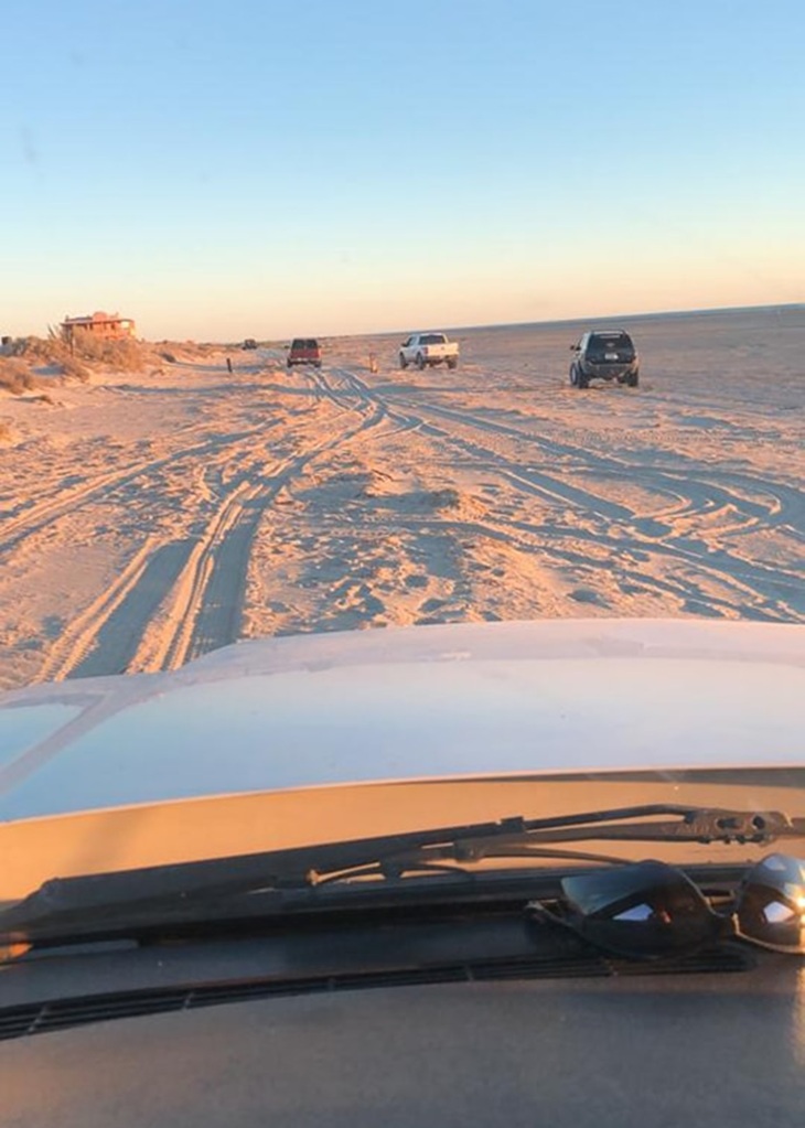 Pictured are vehicles driving along a beach in Mexico in search of a missing husband and wife. 