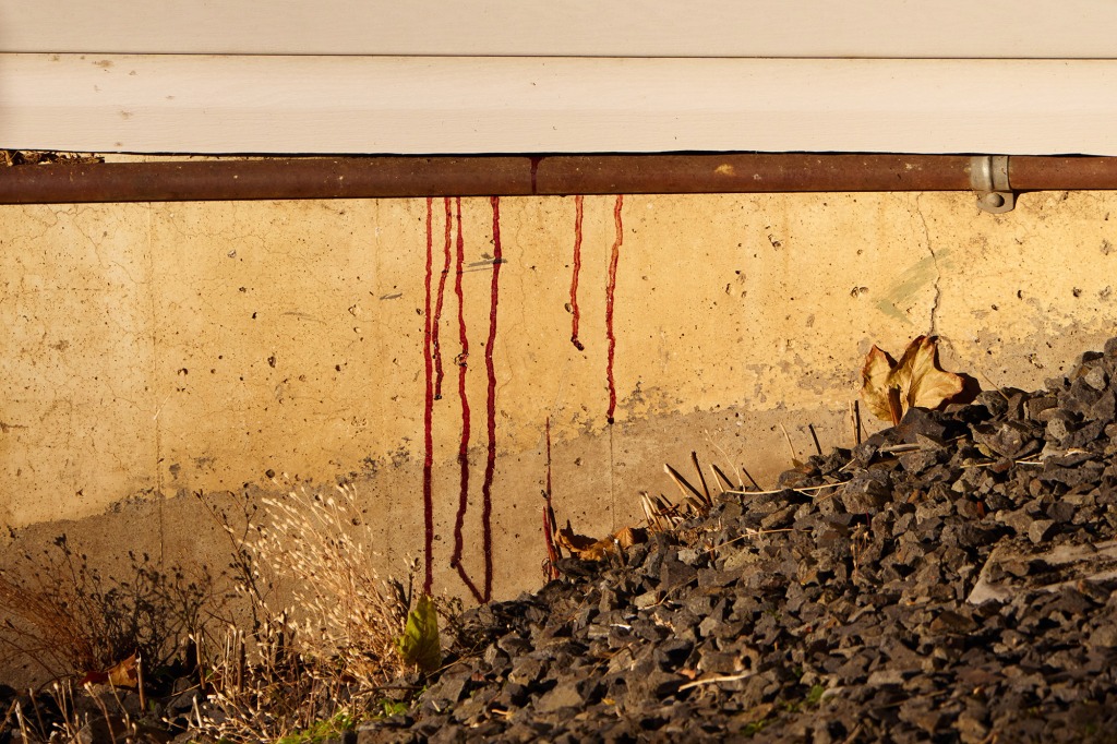 Blood oozes out of the side of the off-campus Moscow house.