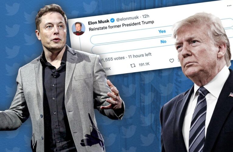 Elon Musk starts Twitter poll on whether to reinstate Trump