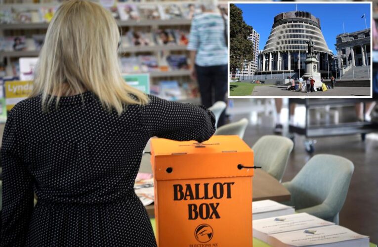 New Zealand’s voting age of 18 is discriminatory, court rules