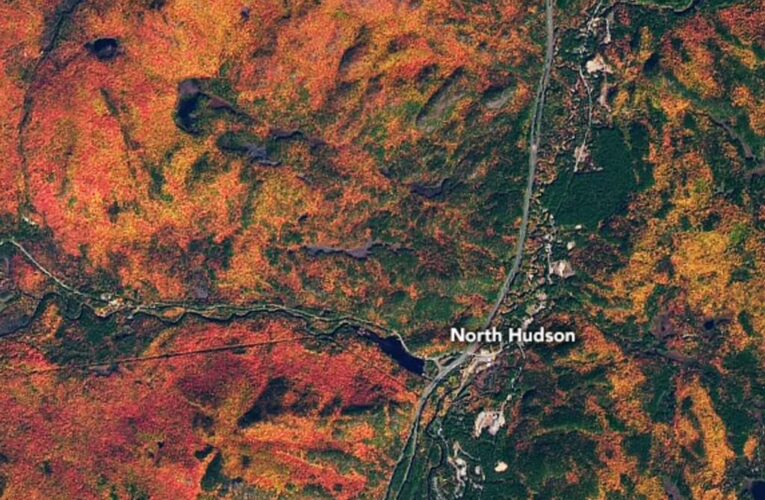 Some of the planet’s most colorful autumn leaf displays are visible from space