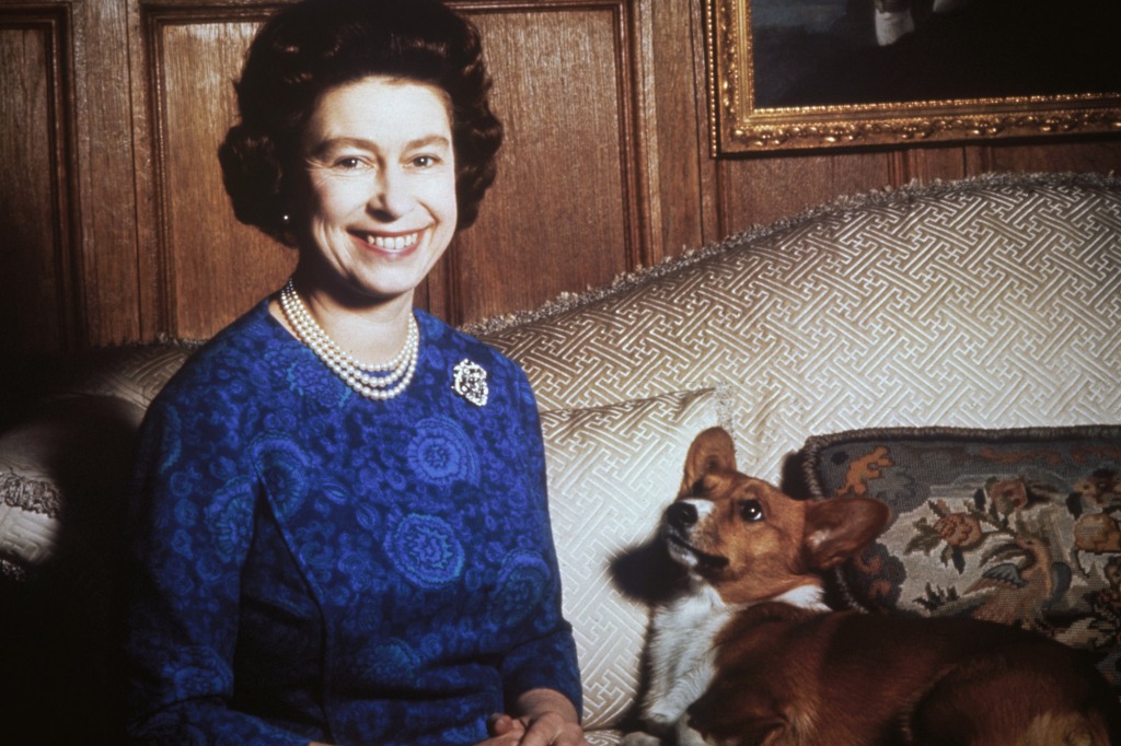 Queen Elizabeth II with a corgi, 1970. (Photo by Keystione/Hulton Archive/Getty Images)