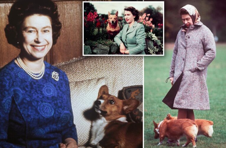 Queen Elizabeth’s corgis hated when she had to work