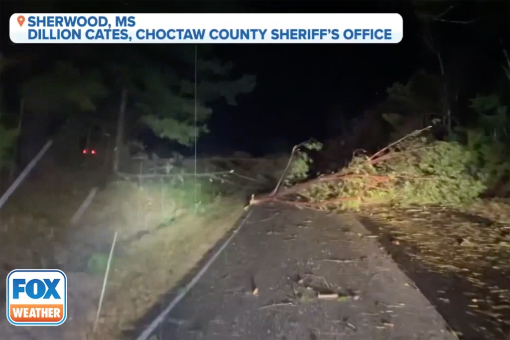 Tree down in Choctow County, Mississippi
