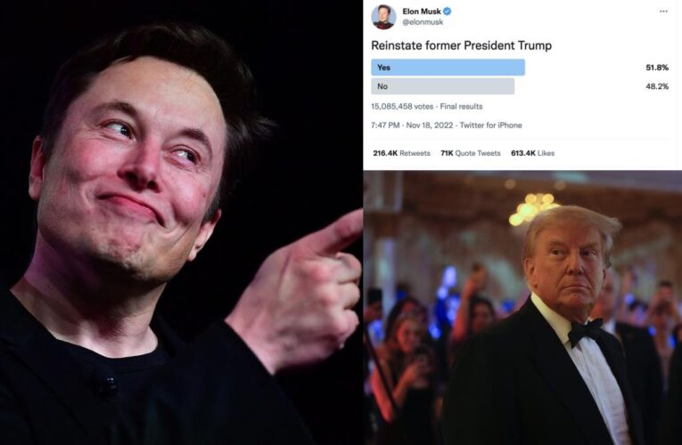 Trump to be reinstated on Twitter after Elon Musk posts poll