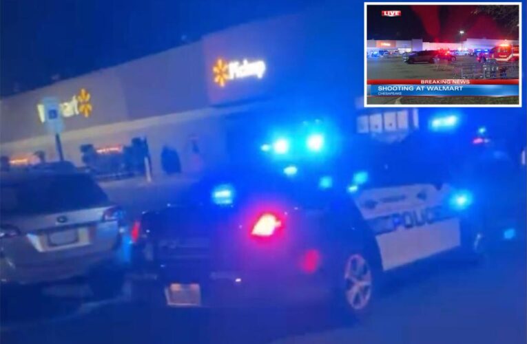 Virginia Walmart gunman kills several: report