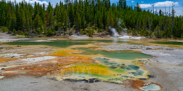 Hot spring at Yellowstone National Park in Wyoming. 