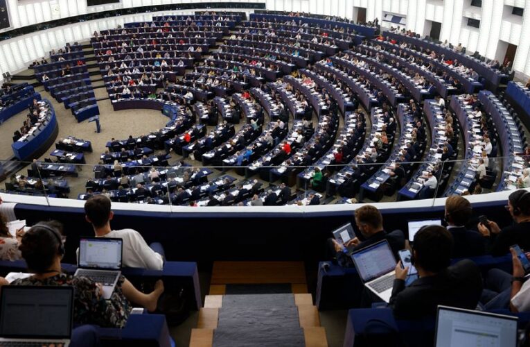 As 2022 comes to an end, here’s what some MEPs hope to achieve next year