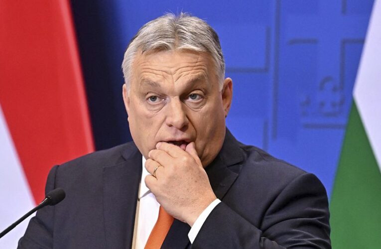 ‘Drain the swamp’: Orban calls for European Parliament to be dissolved