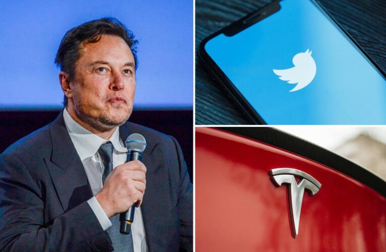 Elon Musk confronted by Tesla investor over pronoun comments