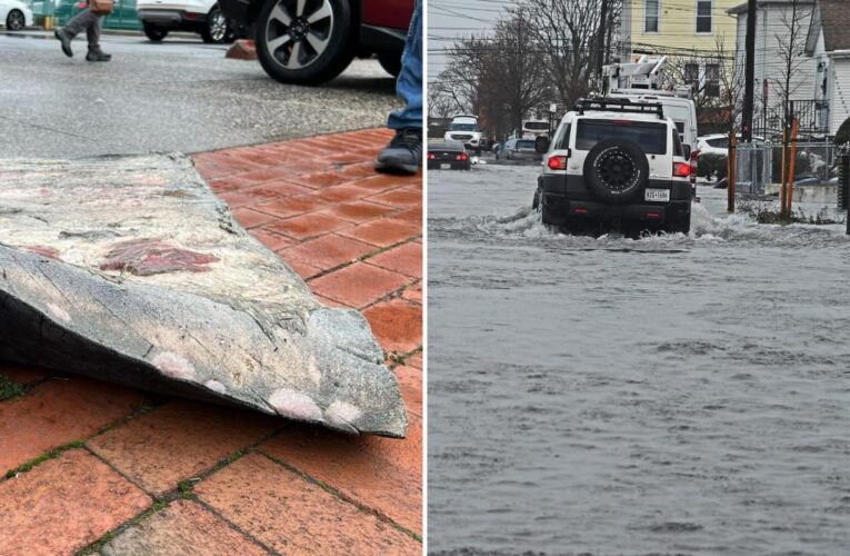 Chunks of sperm whale found in Queens after storm surge