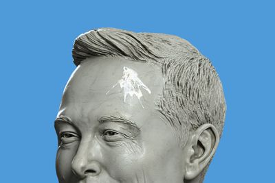 A statue bust of Elon Musk with bird droppings on its forehead over a blue background.