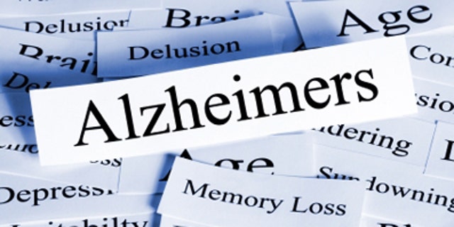 "The FDA is expected to decide whether to grant accelerated approval to lecanemab by January 6, 2023," said the Alzheimer's Association. 