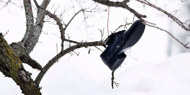 A shoe hangs onto a tree knocked over by wind on University at Buffalo South's campus in Buffalo, New York, on Tuesday, Dec. 27, 2022. 