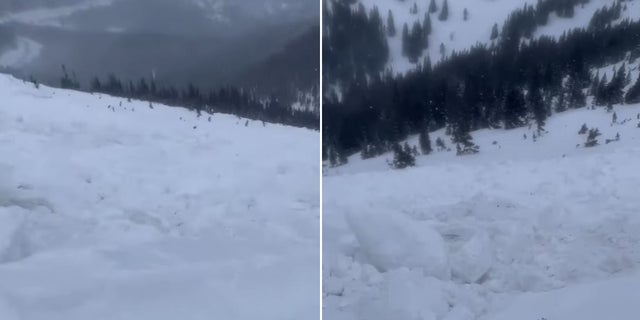 These still images from video the hiker provided to officials after the avalanche shows the view from where he came to rest after the slide.