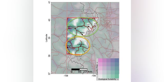 The Colorado Parks and Wildlife Commission identified two possible areas to release gray wolves into the wild, in its draft restoration and management plan issued on Dec. 9, 2022.