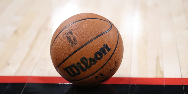 The Official Wilson basketball during the game between the Long Island Nets and the College Park Skyhawks on January 25, 2022, at Gateway Center Arena in College Park, Georgia. 