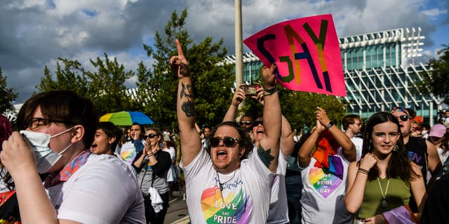 Protesters of the Florida education law.