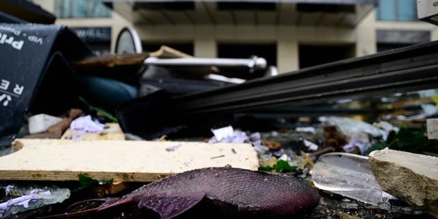 A dead fish lies in the debris in front of the Radisson Blu hotel, where a huge aquarium located in the hotel's lobby burst on Dec. 16, 2022, in Berlin.