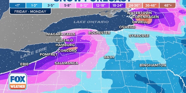 Expected snowfall totals in western New York this week.