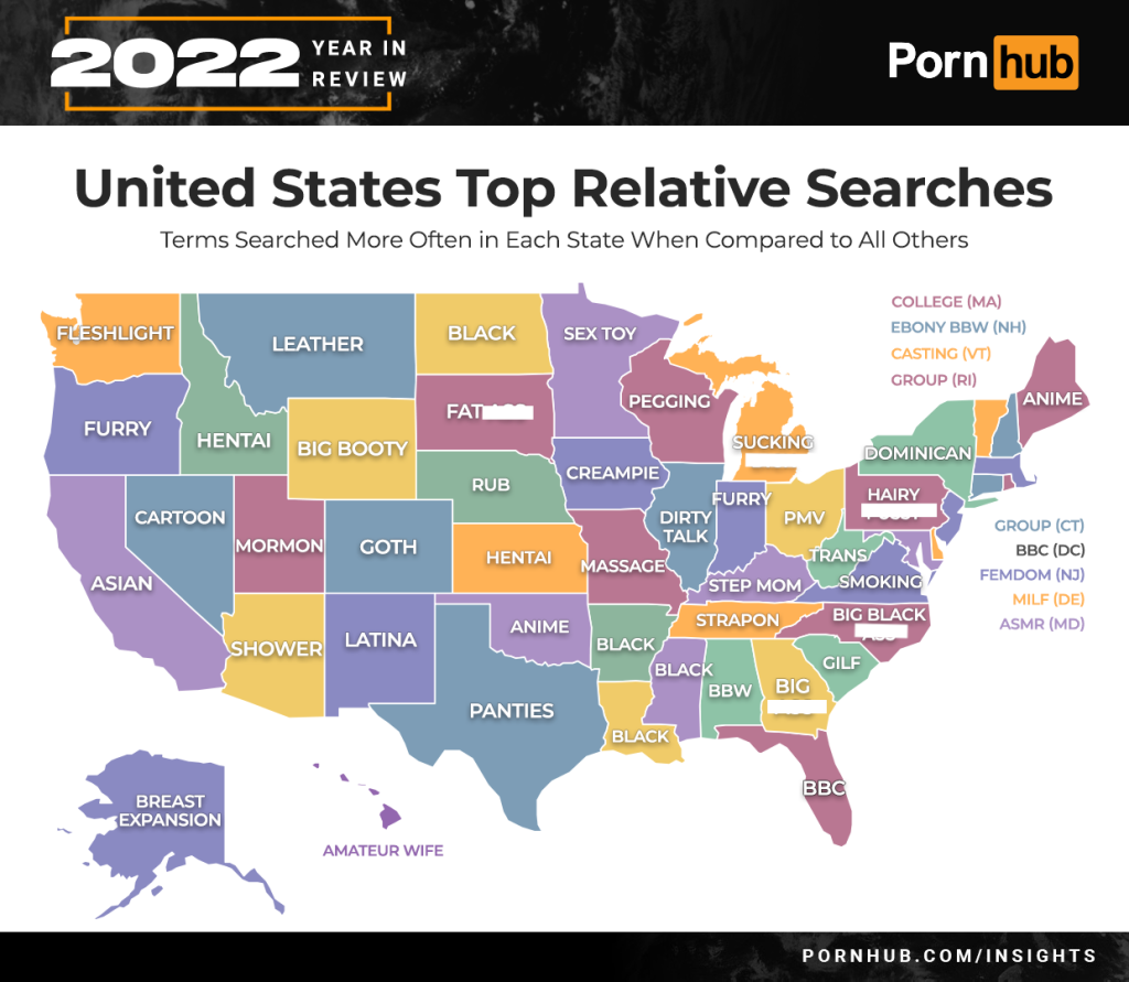 An analysis of America's viewing habits revealed differences between states, with interest in some search terms and categories varying depending on location. 