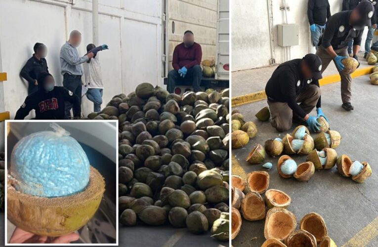 Fentanyl found stuffed in coconuts in Mexican truck