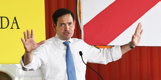 U.S. Sen. Marco Rubio ran for president in 2016.