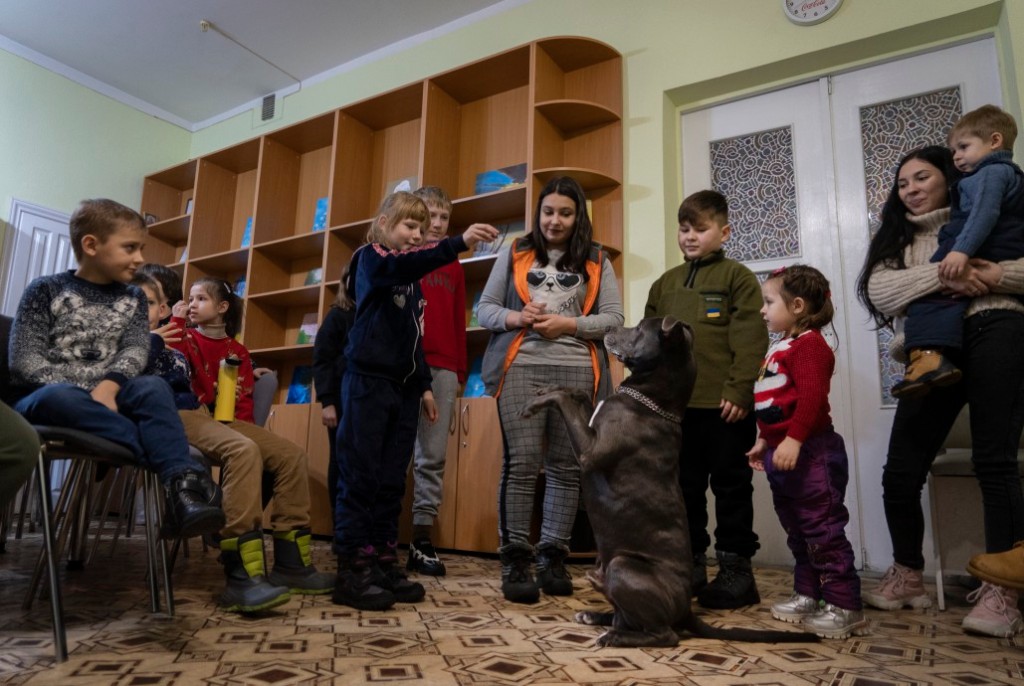 Children play with the American Pit Bull Terrier in the Center for Social and Psychological Rehabilitation in Boyarka, Ukraine.