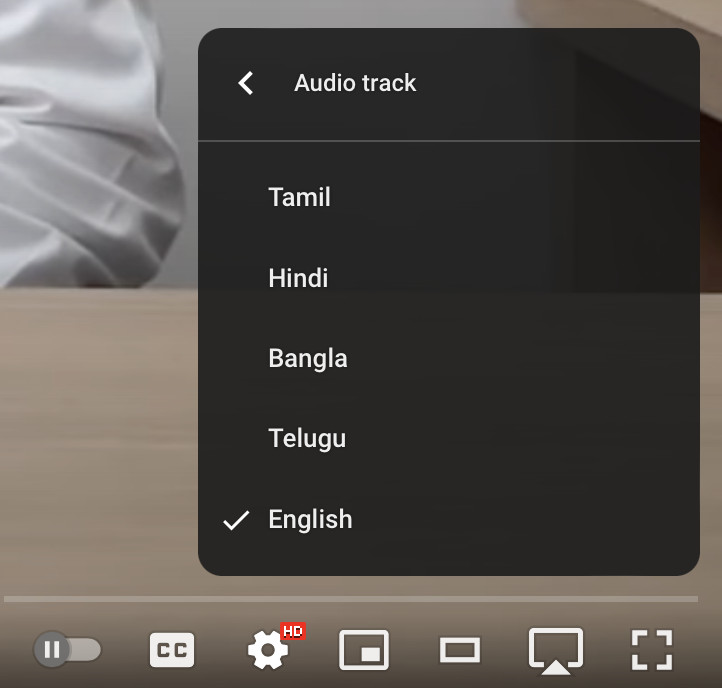 Screenshot of the audio track UI on YouTube.