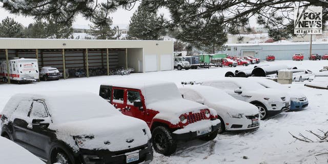 A Range Rover believed to be Kaylee Goncalves' and several other cars of unknown ownership were towed from the scene of the quadruple homicide in Moscow, Idaho.